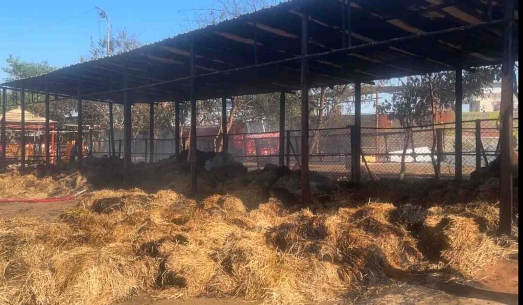 , बायो सीएनजी प्लांट के पास हादसा"