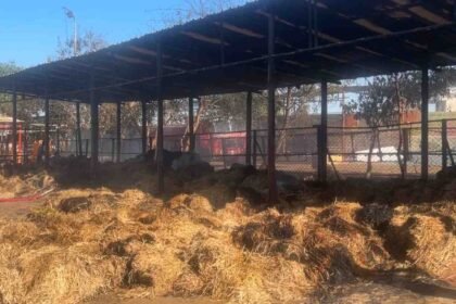 , बायो सीएनजी प्लांट के पास हादसा"