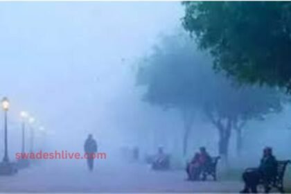 UP WEATHER: Alert of rain with thunderstorm, warning in 35 districts