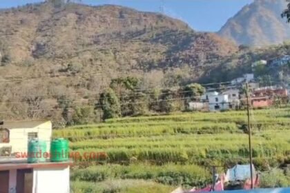 UK WEATHER: Sunny after 36 hours, weather clear after snowfall