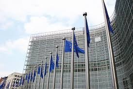 Why did the European Union make a big appeal to the citizens