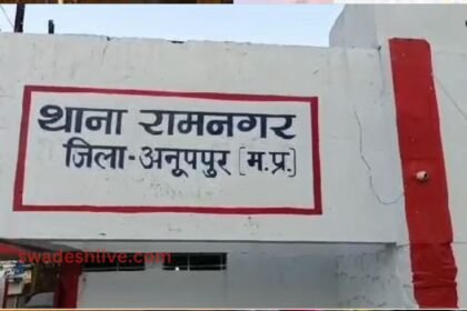 Anuppur: Body of a youth found hanging from a tree, police engaged in investigation