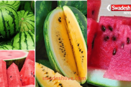 This fruit is the first choice of every rich and poor person in India