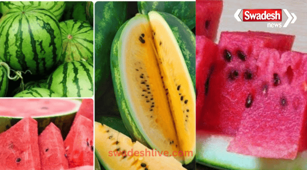 This fruit is the first choice of every rich and poor person in India