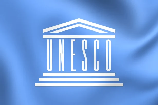 यूनेस्को इंटर्नशिप प्रोग्राम