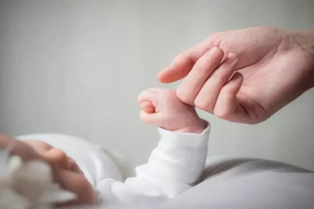 लड़का हुआ तो गाय, 50,000 भी - सांसद का ऑफर जिसने सोशल मीडिया पर आग लगा दी