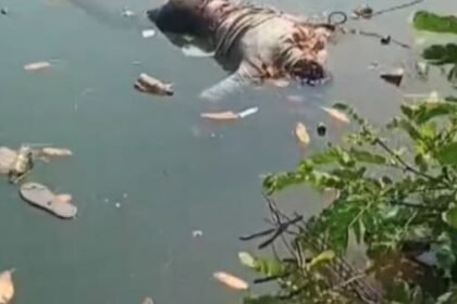 Rajim: Dead body of a youth found in the canal, sensation created in the village