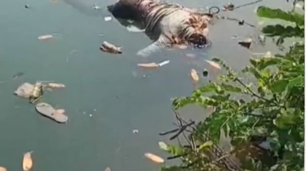 Rajim: Dead body of a youth found in the canal, sensation created in the village