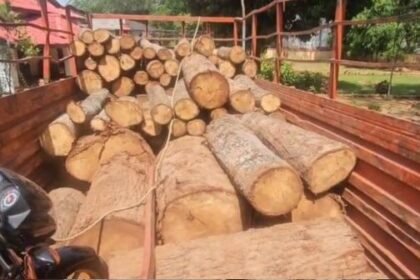Bhanupratappur: Mazda vehicle caught transporting illegal wood from the forest of Lohattar area