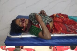 Terror of bears in Marwahi forest division, three women attacked