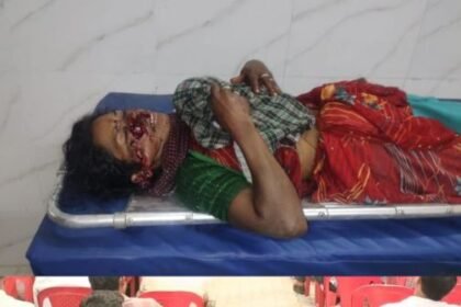 Terror of bears in Marwahi forest division, three women attacked