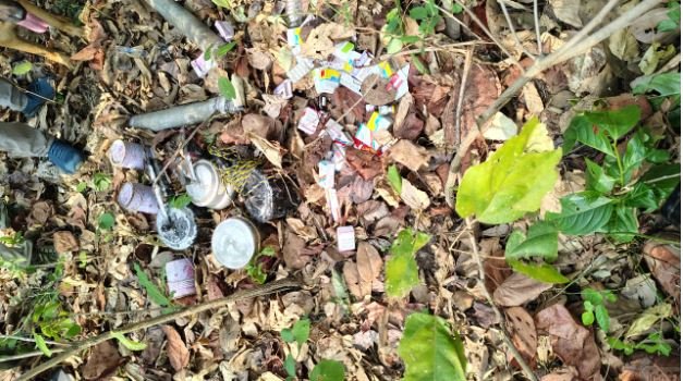 Dhamtari: Naxals' plans foiled, dump bombs and Naxal material recovered