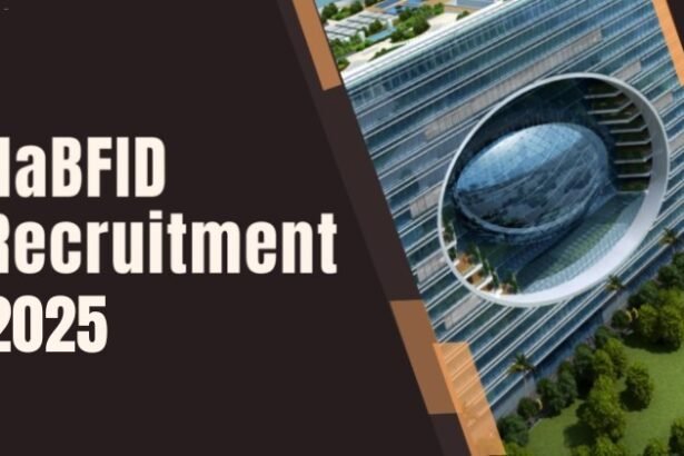 NaBFID भर्ती 2025