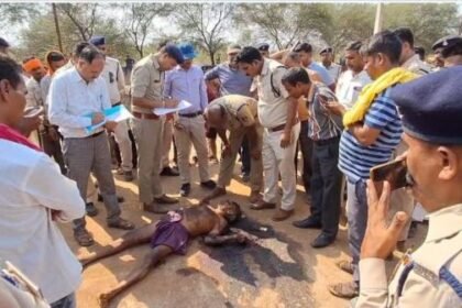 Horrible murder in Bemetara: Neighbor brutally murdered an old man with a tangia