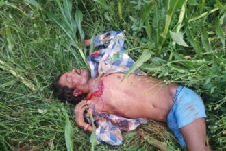 Elephant terror in Balrampur: Four deaths in three days, villagers angry