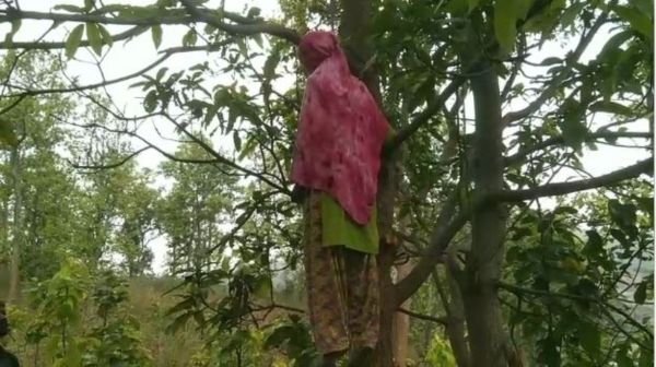 Balrampur Breaking: Body of a 45-year-old woman found hanging from a tree in the forest