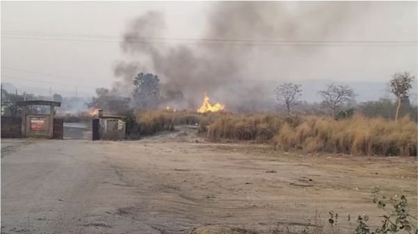 Korba: Huge fire in the forest of Gopalpur Chorbatti, major accident averted