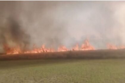 Fire in Mainpuri turned farmers' crops into ashes