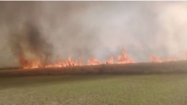 Fire in Mainpuri turned farmers' crops into ashes