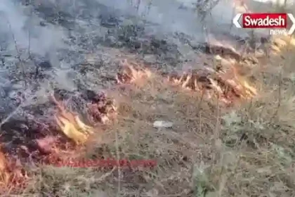 Why Do Almora's Forests Burn Every Year?"