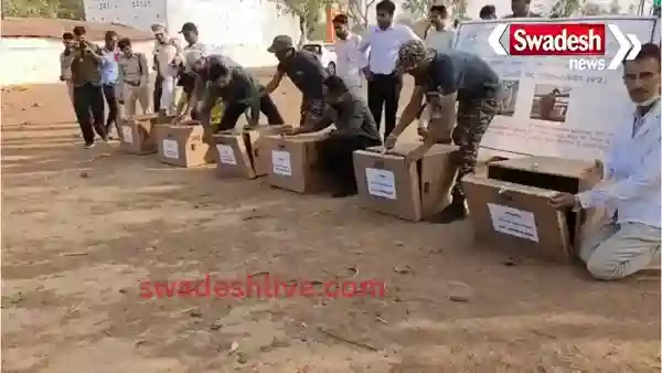 Important initiative of Madhya Pradesh towards vulture conservation