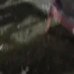 Dhaba Owner Shot Over Illegal Liquor Sale Pressure, Victim Seeks Justice