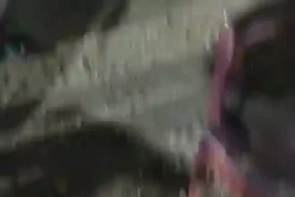 Dhaba Owner Shot Over Illegal Liquor Sale Pressure, Victim Seeks Justice