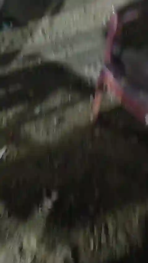 Dhaba Owner Shot Over Illegal Liquor Sale Pressure, Victim Seeks Justice