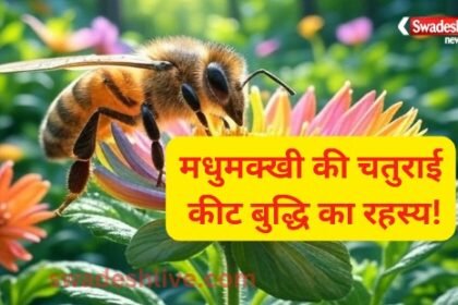 "The Clever Bee: Secrets of Insect Intelligence"