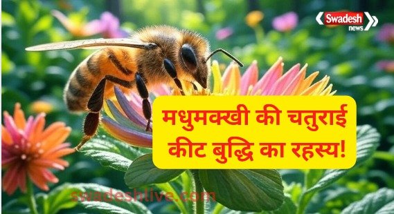 "The Clever Bee: Secrets of Insect Intelligence"