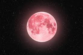 How to see the pink moon and blue giant star this weekend