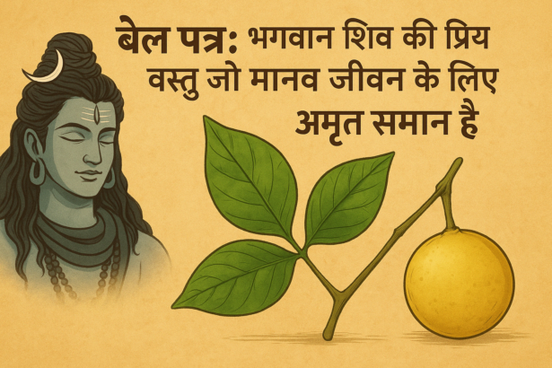 Combination of Shiva devotion and health: The untold usefulness of Bel Patra