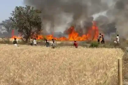 Fire broke out due to short circuit, standing crops of many farmers burnt to ashes