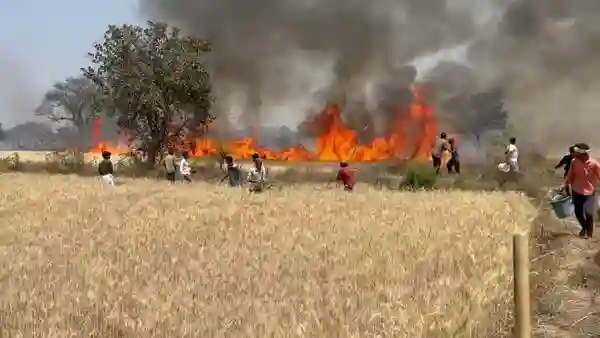 Fire broke out due to short circuit, standing crops of many farmers burnt to ashes