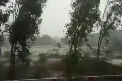 Weather changed in UP: Rain and storm caused havoc in many districts, two died