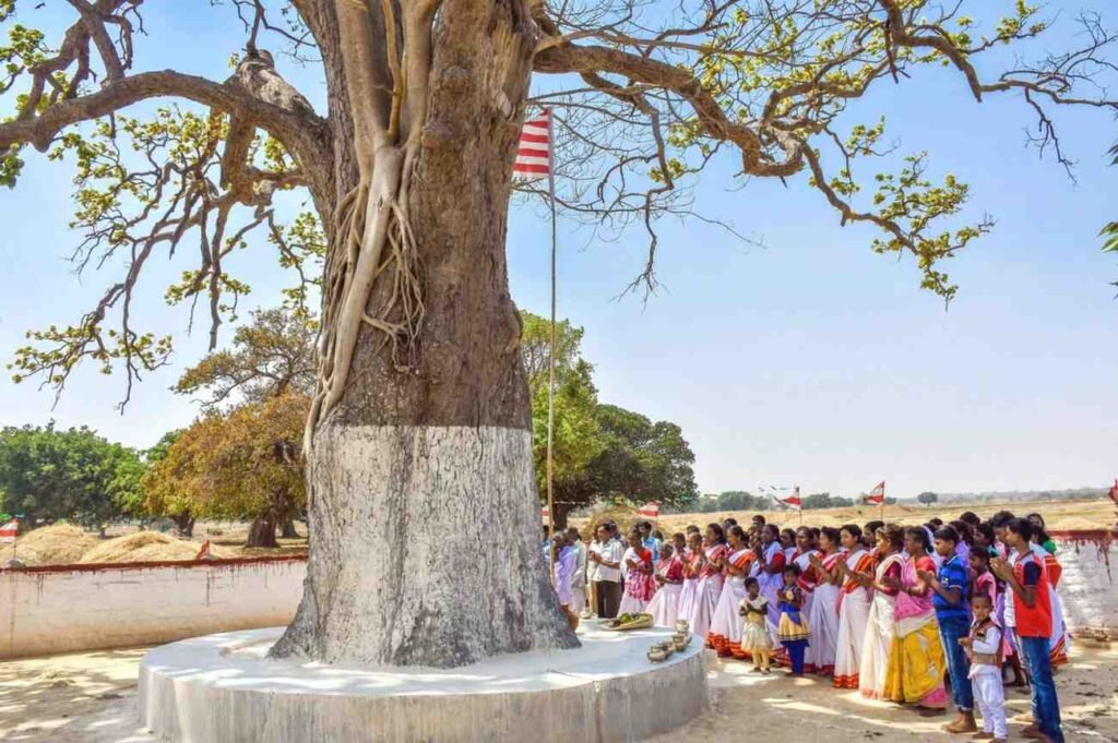 आदिवासियों का महापर्व सरहुल