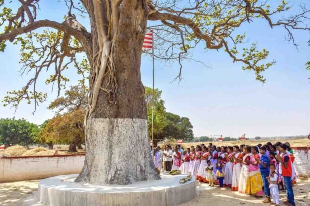 आदिवासियों का महापर्व सरहुल