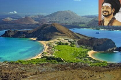 स्वामी नित्यानंद का 'कैलाशा