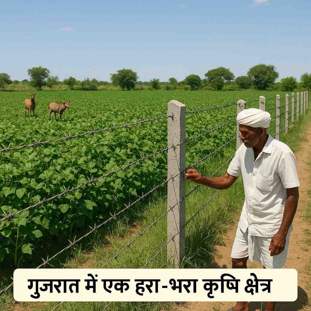 तार फेंसिंग योजना गुजरात