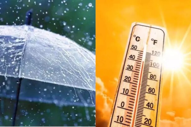 https://swadeshlive.com/india-weather-update-heatwave-alert-rainfall-forecast/