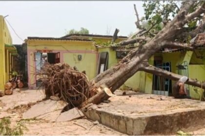 Heavy storm and rain caused heavy destruction in Korba, normal life disrupted