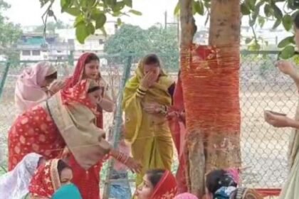 Raigarh: On the occasion of Vat Savitri Vrat, married women prayed for the long life of their husbands by worshipping the Banyan tree
