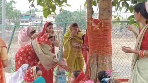 Raigarh: On the occasion of Vat Savitri Vrat, married women prayed for the long life of their husbands by worshipping the Banyan tree