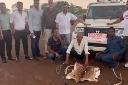 Forest department's big action in Raipur