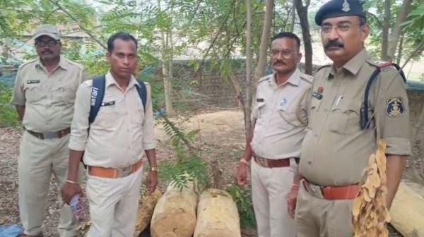 Major action against illegal transportation of timber