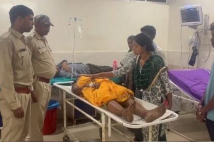 Korba: Elephant attacks villagers who went to pluck tendu leaves