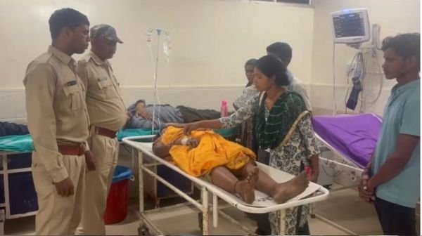 Korba: Elephant attacks villagers who went to pluck tendu leaves