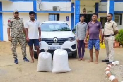 Devbhog: Three interstate smugglers arrested with 56 kg of illegal ganja