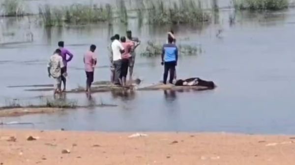 Dead body of a middle aged man found in Rajim Triveni Sangam, police busy in investigation