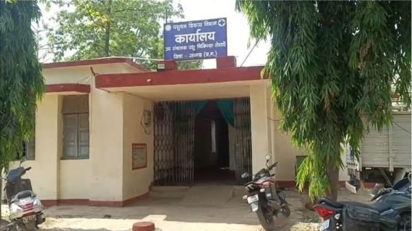 Recruitment scam in Veterinary Department in Raigarh: 44 employees terminated